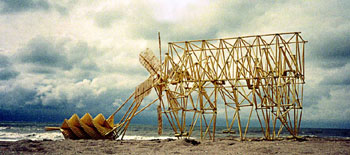 strandbeest0001